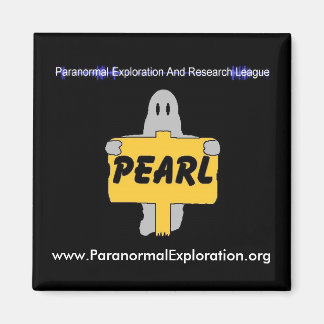 パール磁石 マグネット