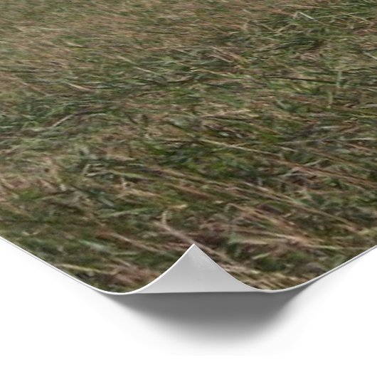 パール ポスター (角)