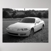 パール ポスター (正面)