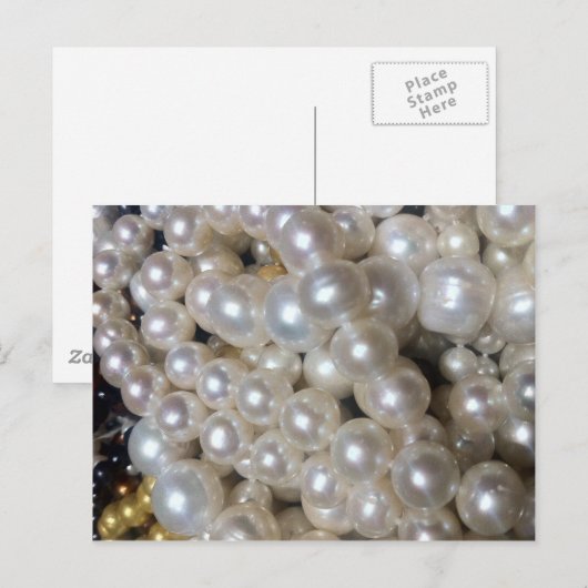 パール ポストカード (正面/裏面)