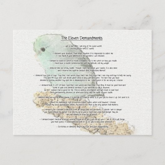 パーロットズ11の要求 ポストカード (正面)