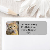 パー ラベル (インサイチュ)