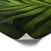 パ保ンダまたはデザインあなた自身のポスター ポスター (角)