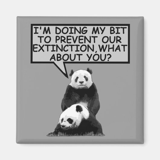 パ救ンダ マグネット (正面)