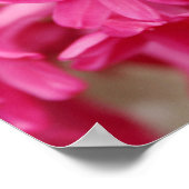 ヒアシントピンクキャンバス ポスター (角)