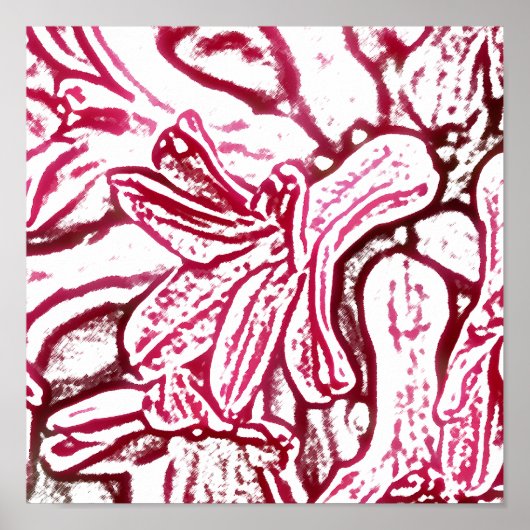 ヒアシントピンク編集 ポスター (正面)