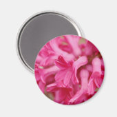 ヒアシントピンク マグネット (正面/裏面)