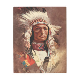 ヒアワタ先住民アメリカインディアンポートレート メタルプリント
