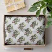 ヒイラギおよびキヅタのデザインのクリスマス 薄葉紙 (ギフト)