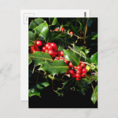 ヒイラギおよびキヅタ ポストカード (正面/裏面)