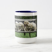 ヒイラギの半ダースベンチのマグ ツートーンマグカップ (中央)