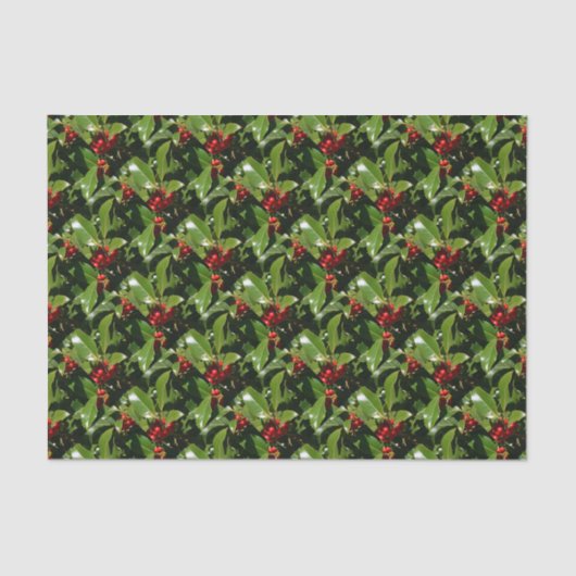 ヒイラギの果実のクリスマスの包装紙 薄葉紙 (正面)