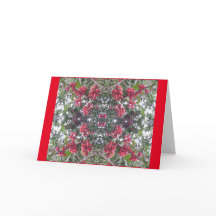 ヒイラギの果実カード802A -季節的な応援