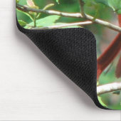 ヒイラギの（鳥）ショウジョウコウカンチョウ マウスパッド (コーナー)