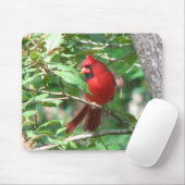 ヒイラギの（鳥）ショウジョウコウカンチョウ マウスパッド (マウス)