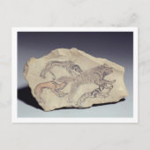 ヒエナ(石灰岩)を追いかける犬を描いたオストラコン ポストカード (正面)
