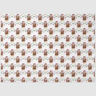 ヒエランメリーコクリスマスだ 薄葉紙