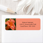 ヒエロカリの花 ラベル (インサイチュ)