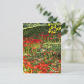 ヒガンバナ ポストカード (スタンド正面)