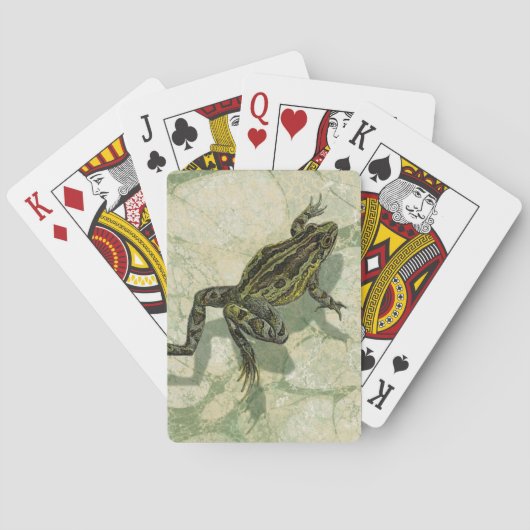 ヒキガエルが水中で勝利 トランプ (裏面)