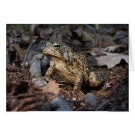 ヒキガエルのグリーティングカード
