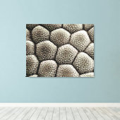 ヒキガエルの足指表皮 キャンバスプリント (インサイチュ (ウッドフロア))