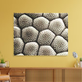 ヒキガエルの足指表皮 キャンバスプリント (インサイチュ (リビング))