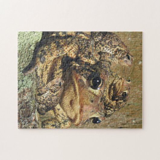 ヒキガエル家族 ジグソーパズル (横)