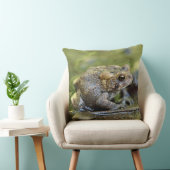 ヒキガエル クッション (椅子)