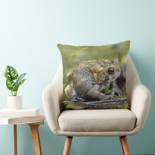 ヒキガエル クッション (椅子)
