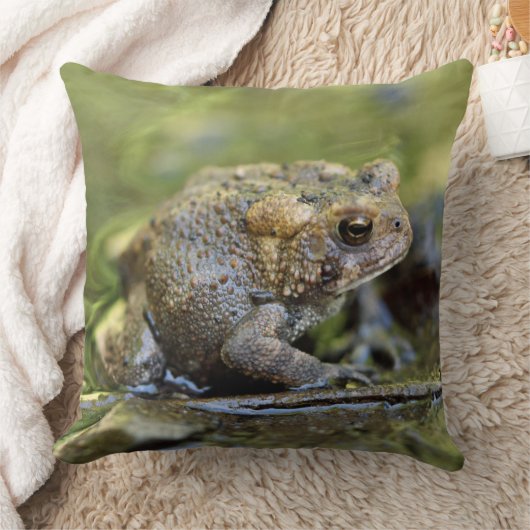 ヒキガエル クッション (ブランケット)