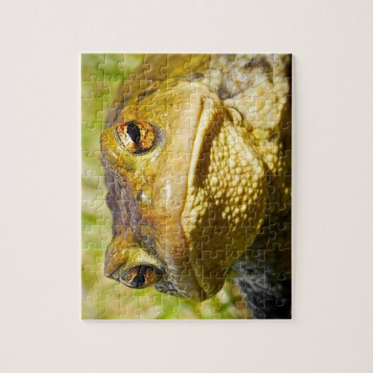 ヒキガエル ジグソーパズル (縦)