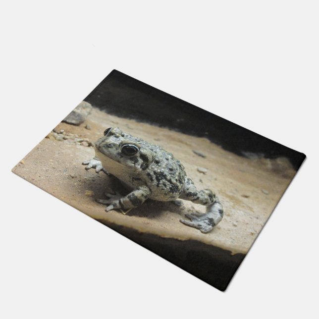 ヒキガエル ドアマット (アングル)