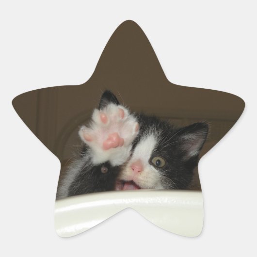 ヒキットンスターステッカー 星シール (正面)