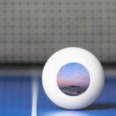 ヒギンズビーチドリームイサンライズ 卓球ボール (ネット)