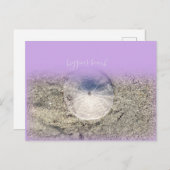 ヒギンモダンズビーチメインサンドドルパープルOMBR ポストカード (正面/裏面)