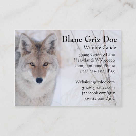 ヒグマおよびコヨーテの野性生物の名刺 名刺 (裏面)