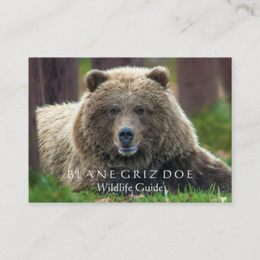 ヒグマおよびコヨーテの野性生物の名刺 名刺 (正面)
