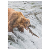 ヒグマがベニザルモンを捕まえる クリップボード (裏面)