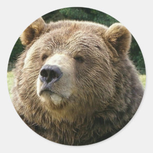 ヒグマのステッカー ラウンドシール