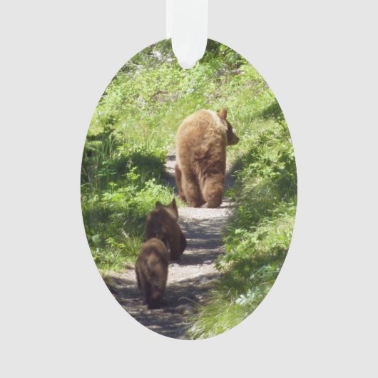 ヒグマの家族 オーナメント (正面)