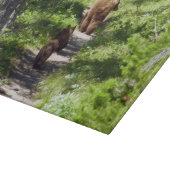 ヒグマの家族 カッティングボード (角)
