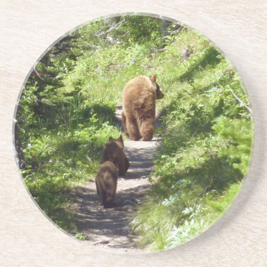ヒグマの家族 コースター (正面)