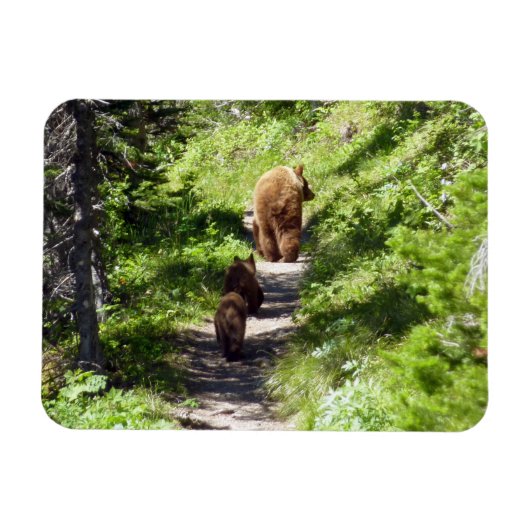 ヒグマの家族 マグネット (横)