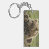 ヒグマ、または沿岸グリズリー、クマ属 キーホルダー (正面左)