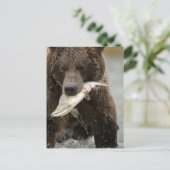 ヒグマ、または沿岸グリズリー、クマ属 ポストカード (スタンド正面)