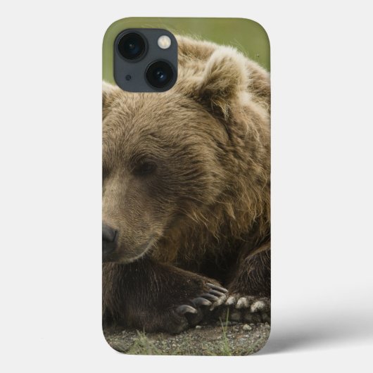 ヒグマ、または沿岸グリズリー、クマ属 Case-Mate iPhoneケース (裏面)