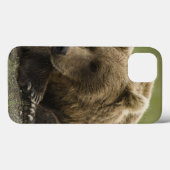 ヒグマ、または沿岸グリズリー、クマ属 Case-Mate iPhoneケース (裏面 (横))