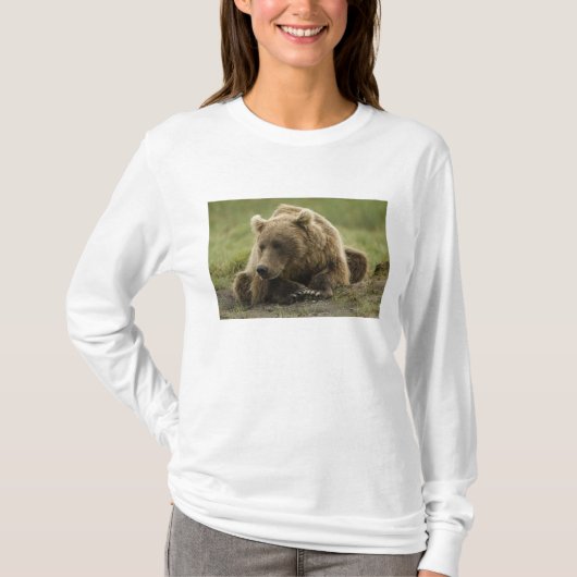 ヒグマ、または沿岸グリズリー、クマ属 Tシャツ (正面)