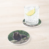 ヒグマ コースター (側面)